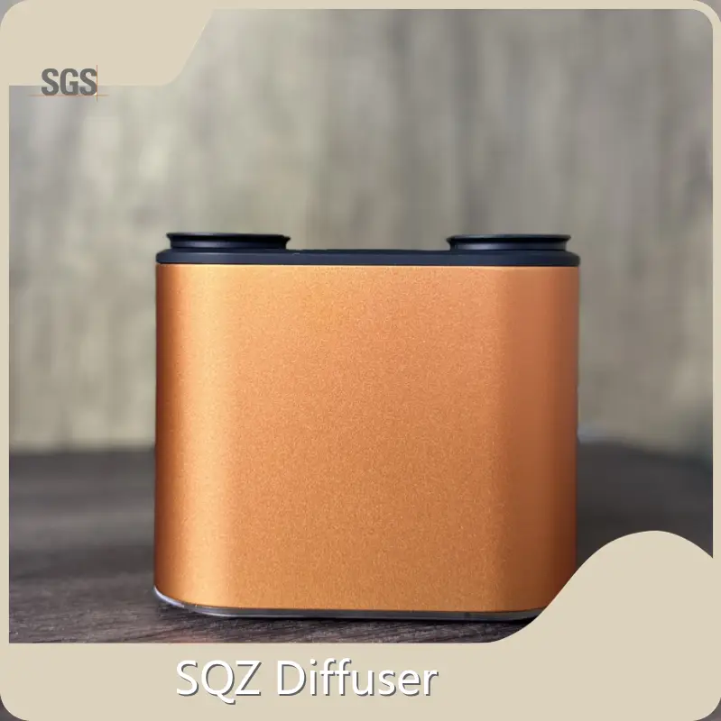 Bulk Buy Wholesale Aroma Diffuser SQZ Diffuser Manufacture 1