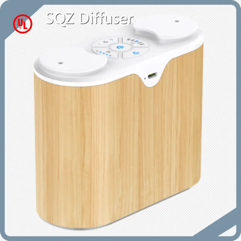 Aroma Diffuser Supplier SQZ Diffuser Manufacture DN02 1