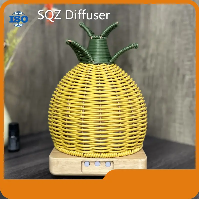 Wholesale Aroma Diffuser Supplier SQZ Diffuser Brand 1