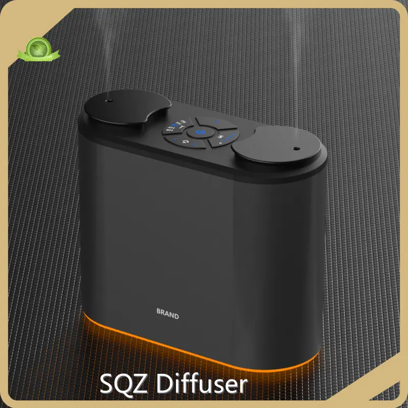 Bulk Waterless Car Diffuser Suppliers 1