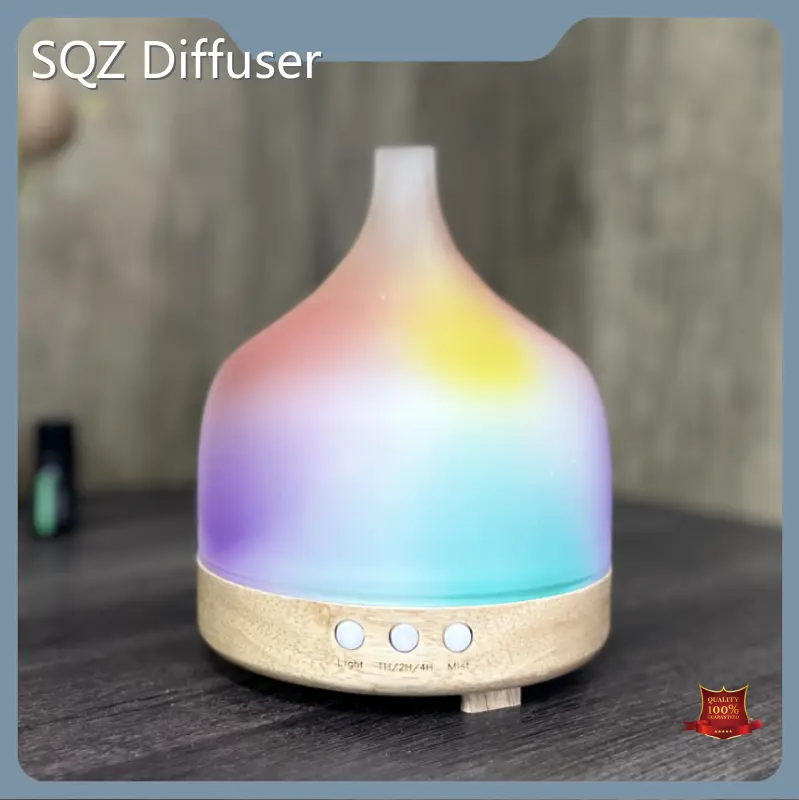 Aroma Diffuser Factory US WG2220suppliers 1