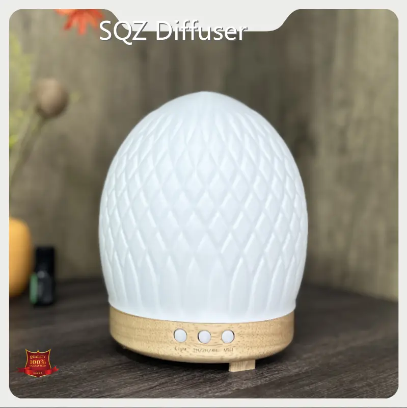 Glass Ultrasonic Essential Oil Diffuser WG2213 EUsuppliers 1