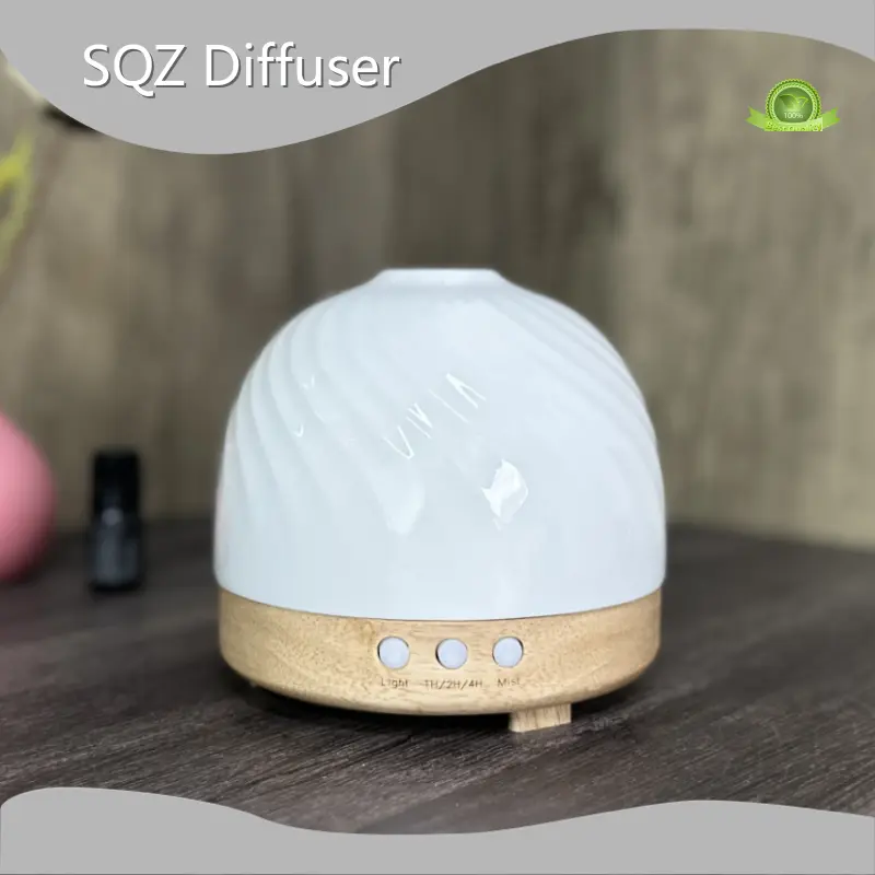 Bulk Aroma Diffuser Supplier Factory 1