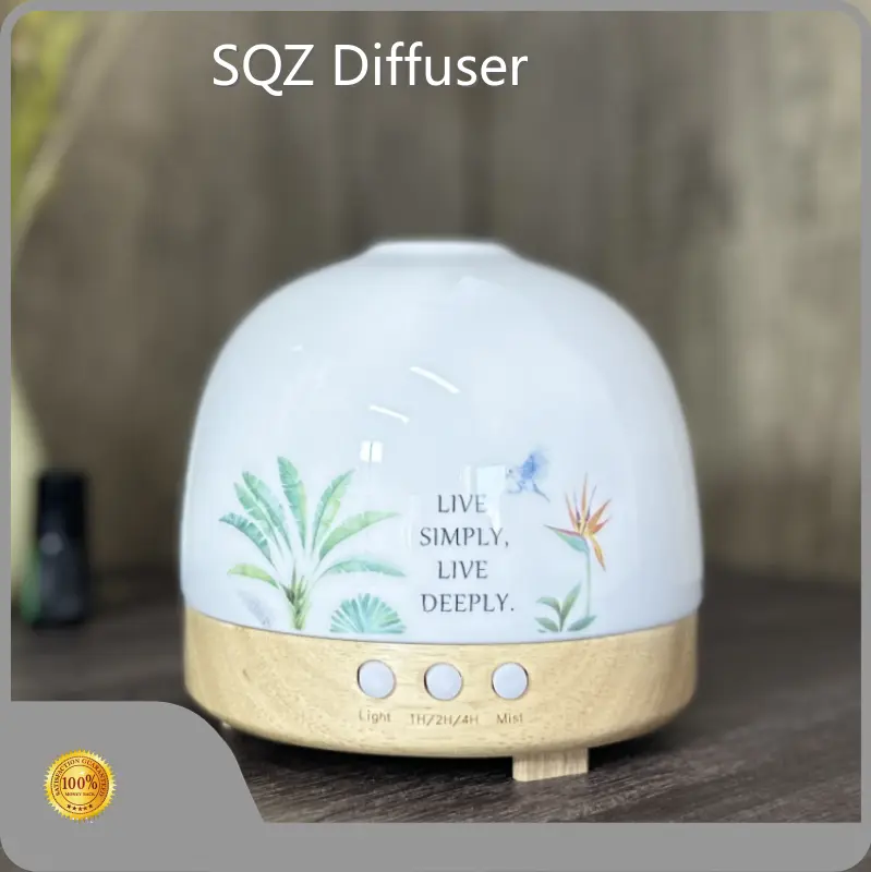 Best Ceramic Aromatherapy Diffuser Ceramic Aromatherapy Diffuser Company 1