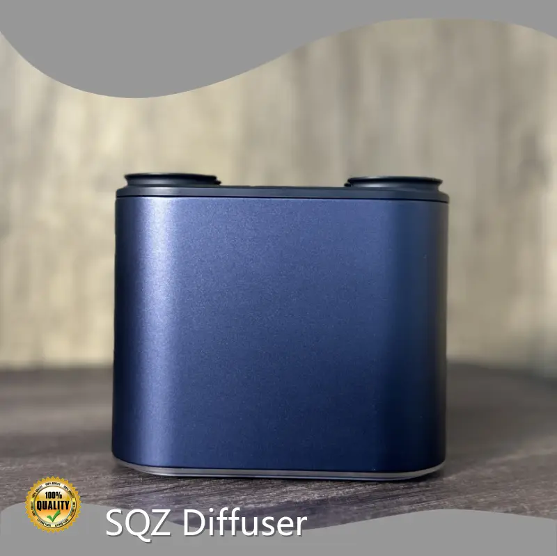 Aroma Diffuser Factory Type-C - - SQZ Diffuser 1
