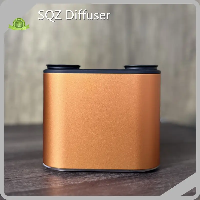 Waterless Nebulizer Diffuser Type-C by SQZ Diffuser 1