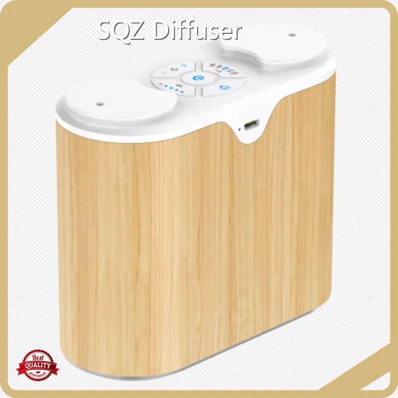 Top Best Waterless Diffuser Factory Price 1