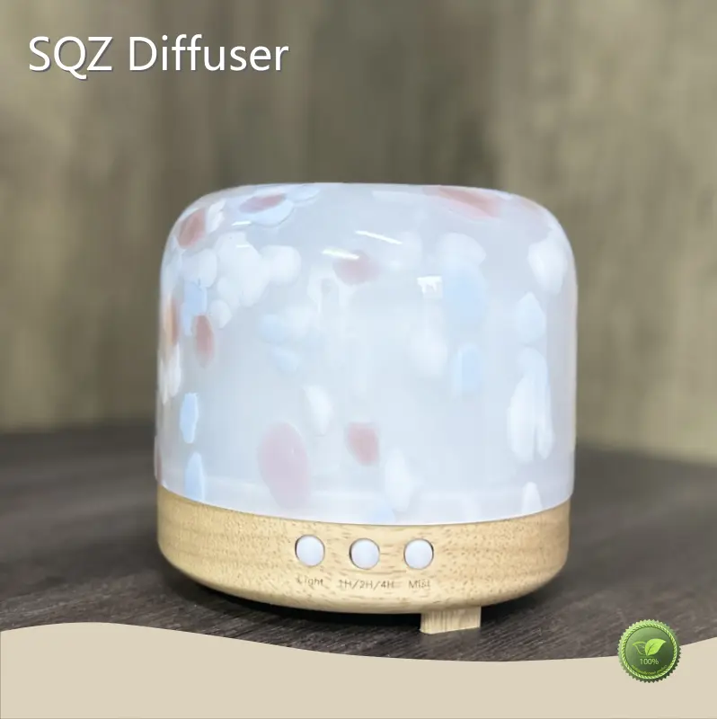 Aroma Diffuser Supplier for Sale 300ml 1