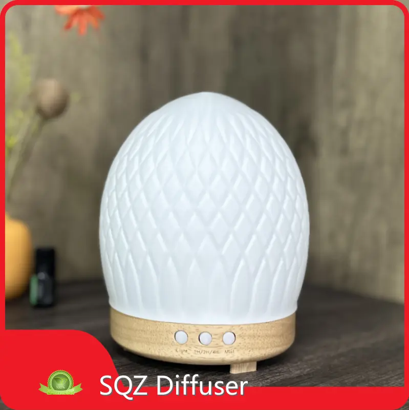 Wood Glass Diffuser WG2213 by SQZ Diffuser 1