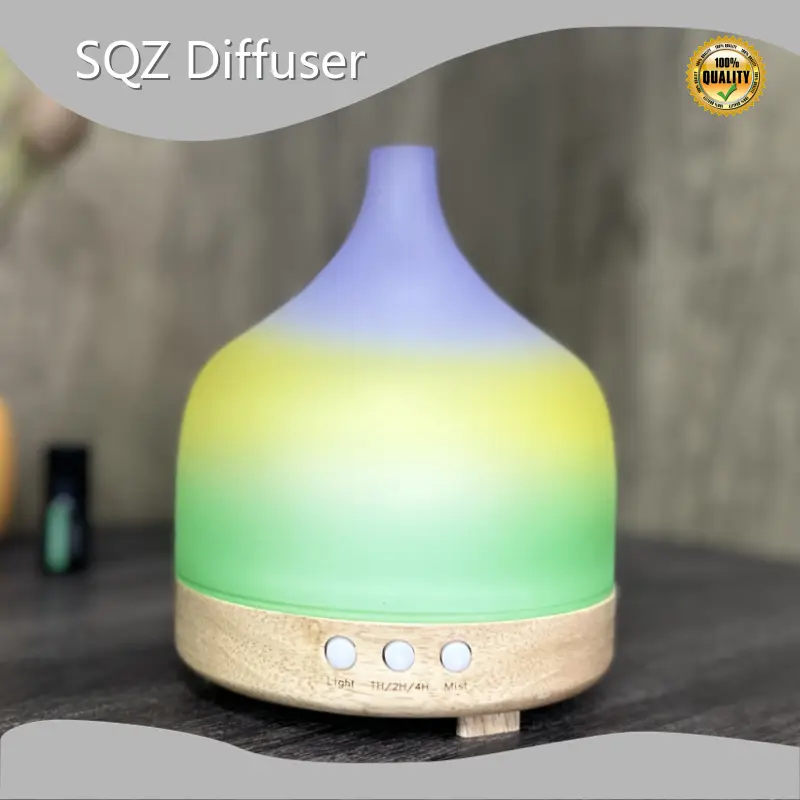 Best Glass Fragrance Diffuser 1