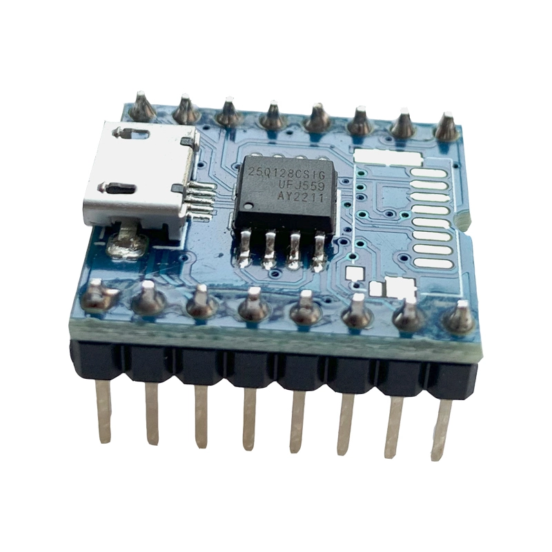Voice Program Loud TTL Board Support Micro USB Download 1