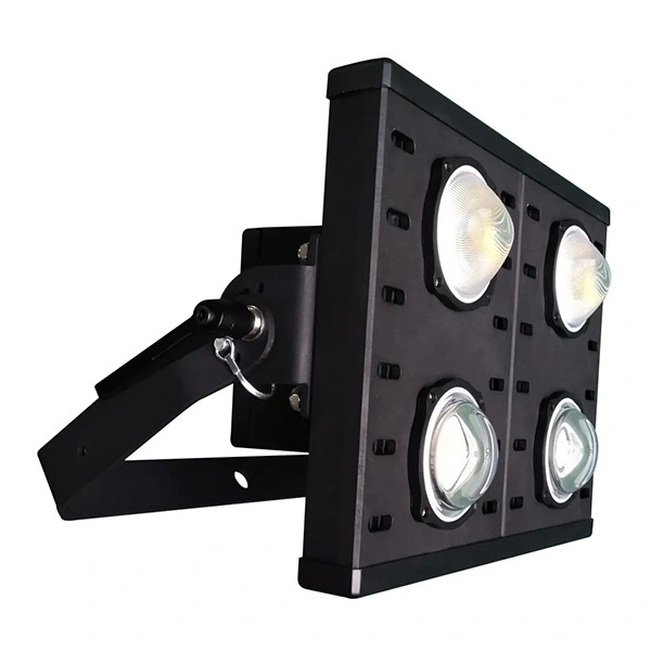 Outdoor battery Flood Lighting  JR 313 1