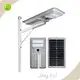 Solar Street Light Integrated 1