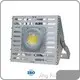 Outdoor Led Lights Brand Supplier 1