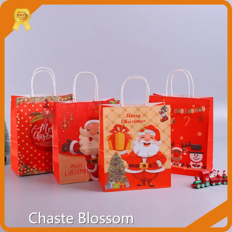 Подарочные пакеты с индивидуальной печатью - - Chaste Blossom 1