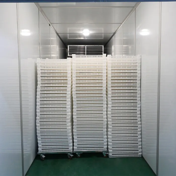 Jimu Heat Pump Drying Machine for Nut - Max. 80℃ 2