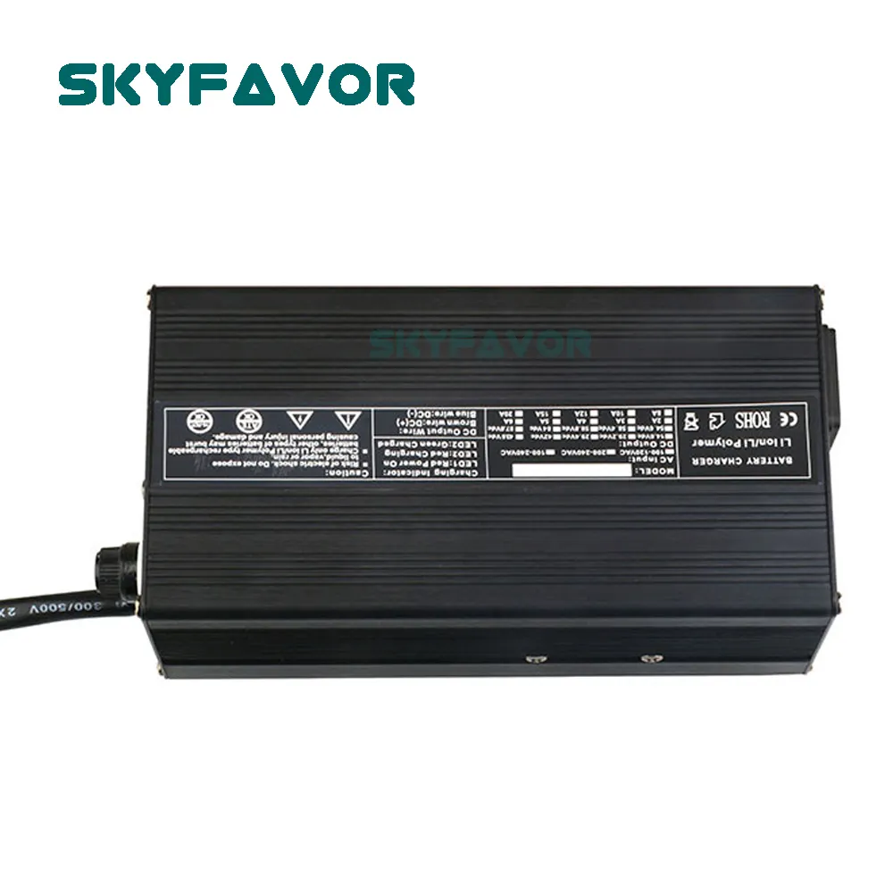 Smart Car Battery Charger - - SKYFAVOR-3 13