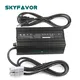 Personalized Battery Charger Wholesale - SKYFAVOR-2 5