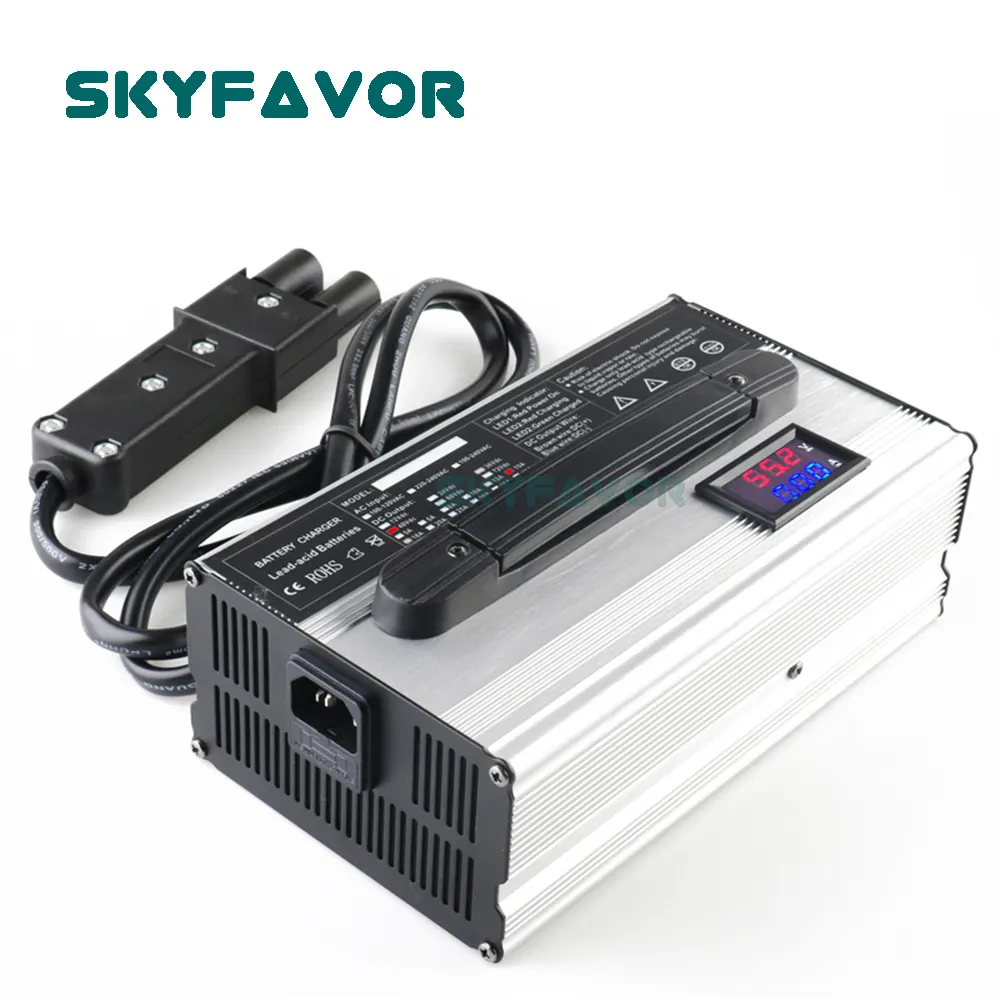 Bulk Battery Charger by SKYFAVOR 4