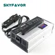 Bulk Battery Charger by SKYFAVOR 4