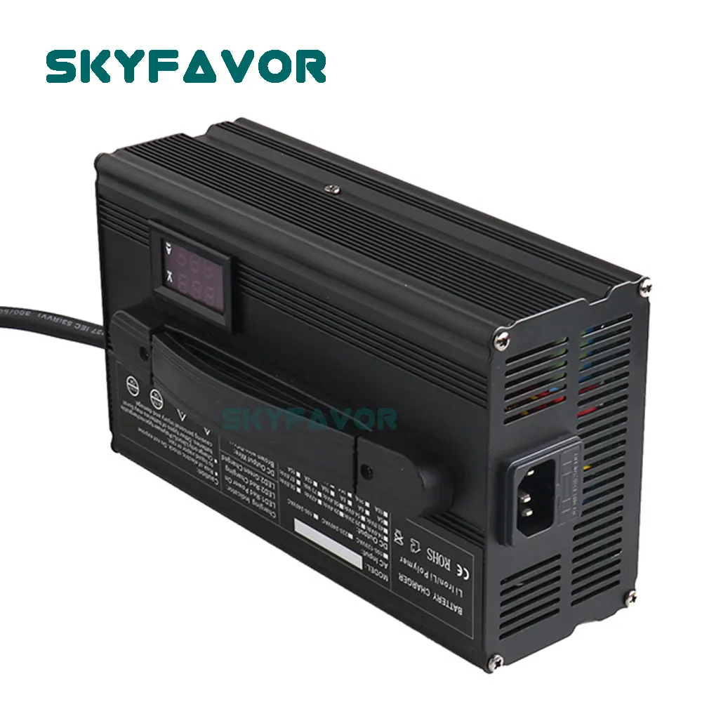 Bulk Battery Charger by SKYFAVOR 12