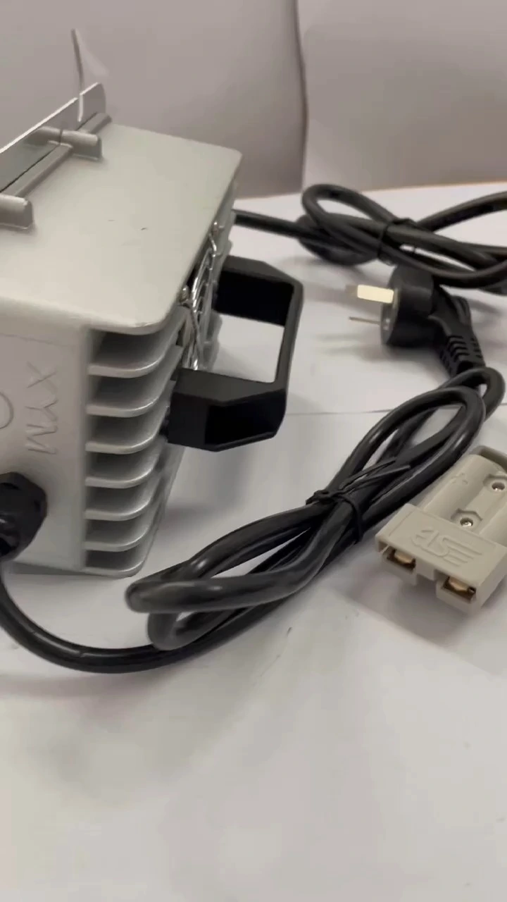 Benutzerdefiniertes wasserdichtes Batterieladegerät mit 110 VAC-Eingang, 12 V, 20 A, 24 V, 12 A, 36 V, 8 A, 48 V, 7 A, automatisches Lithium-Blei-Säure-Lifepo4-Batterieladegerät 1