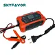 Golf Cart Battery Charger Wholesale - SKYFAVOR 3
