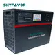 Best Industrial Battery Charger Wholesale - SKYFAVOR 2
