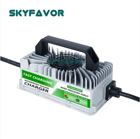 Custom Battery Chargers - - SKYFAVOR-19 2