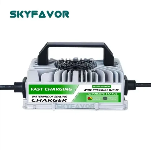 Custom Battery Chargers - - SKYFAVOR-19 6