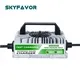 Custom Battery Chargers - - SKYFAVOR-19 6