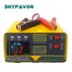 Bmw Battery Charger - - SKYFAVOR 3