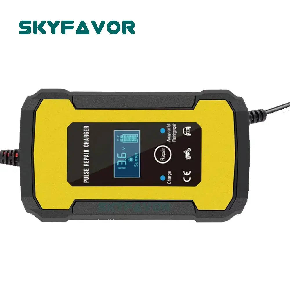 Battery Chargers Manufacturer - - SKYFAVOR-20 6