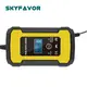 Battery Chargers Manufacturer - - SKYFAVOR-20 6