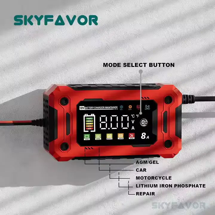 Cart Battery Charger by SKYFAVOR 4