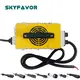 24 Volt Golf Cart Battery Charger by SKYFAVOR-1 2