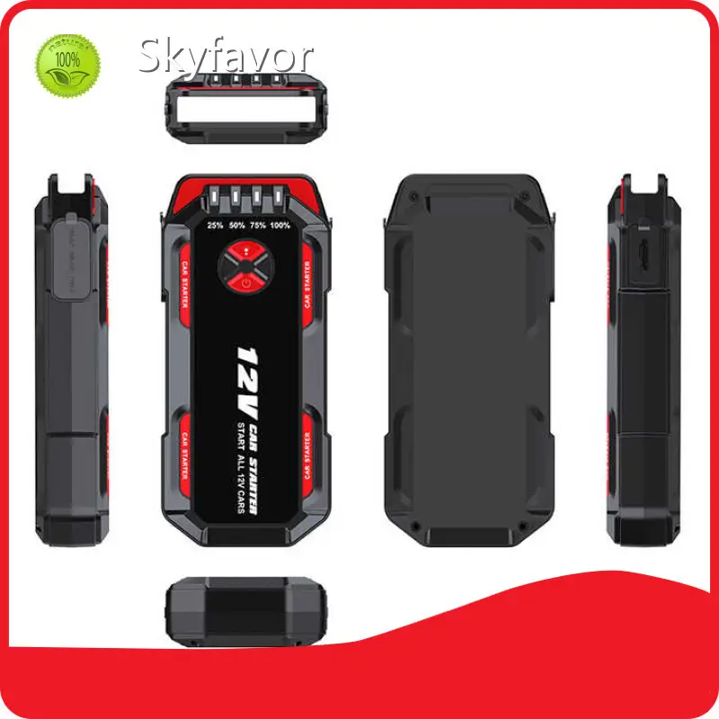 Battery Chargers Manufacturer - - SKYFAVOR 1