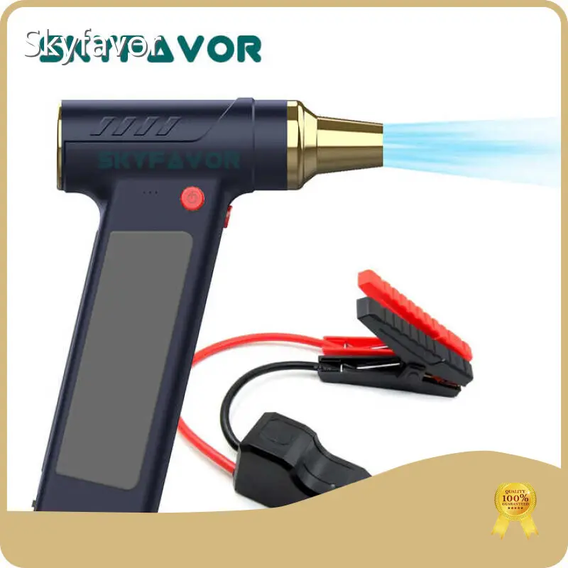 Battery Chargers Manufacturer - - SKYFAVOR-2 1