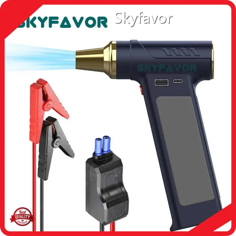 Personalized Battery Charger - - SKYFAVOR 1