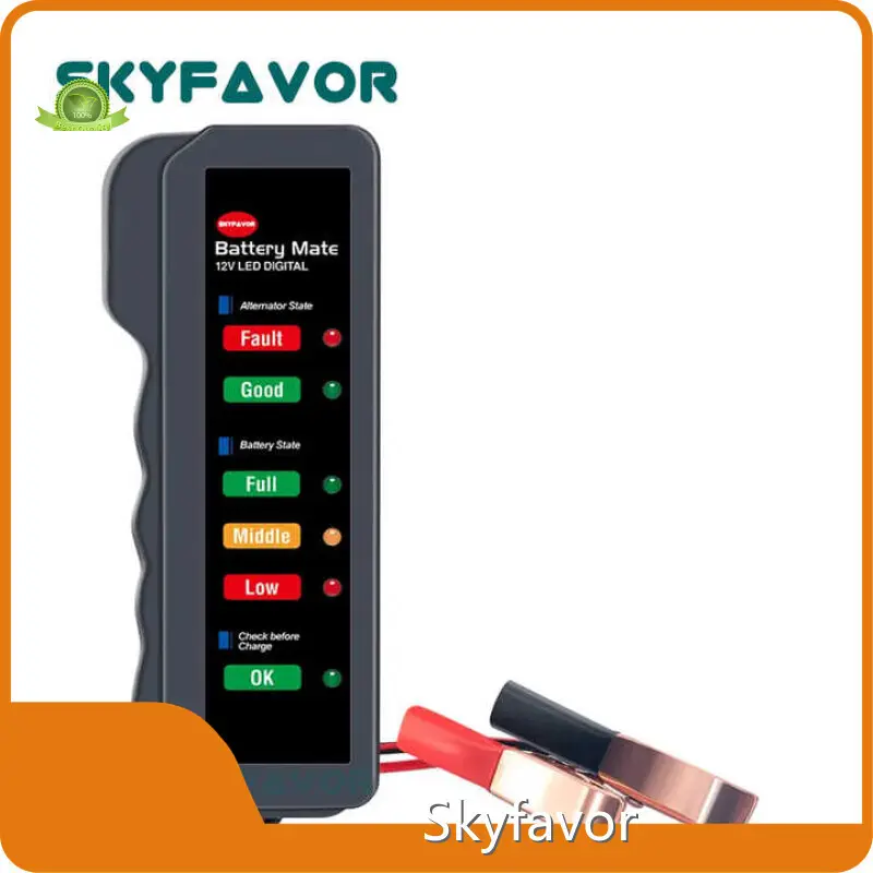 Custom Battery Chargers by SKYFAVOR 1