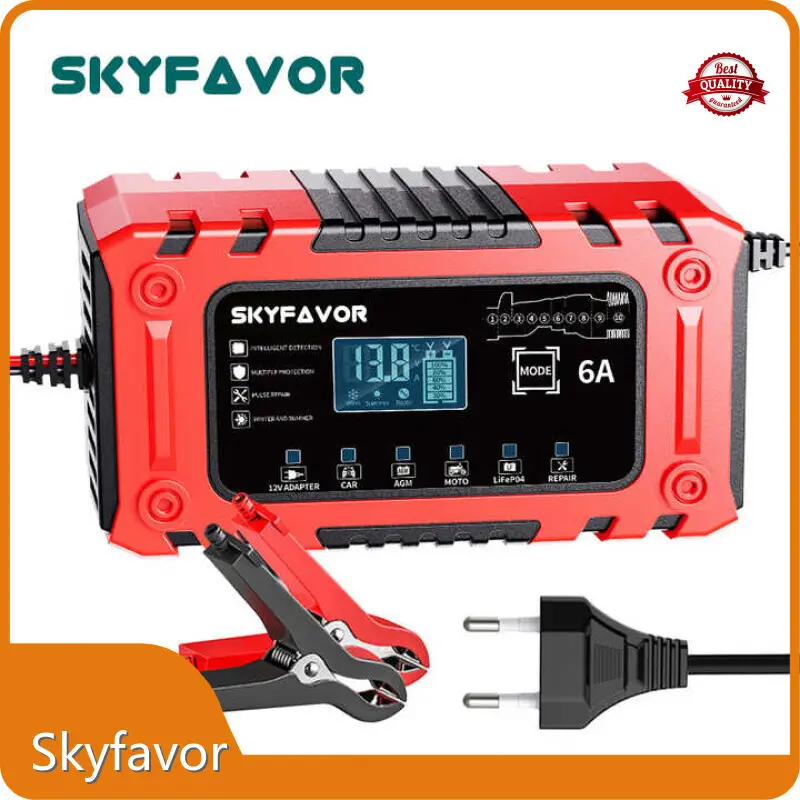 Custom Battery Chargers - - SKYFAVOR-10 1