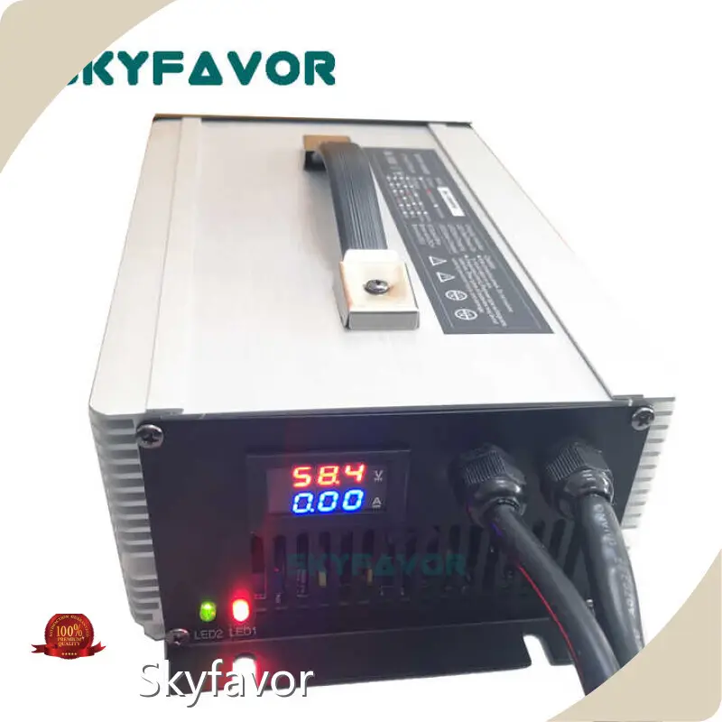 Vehicle Battery Charger - - SKYFAVOR 1