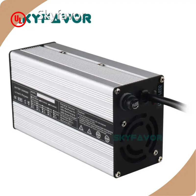 Smart Car Battery Charger - - SKYFAVOR-2 1