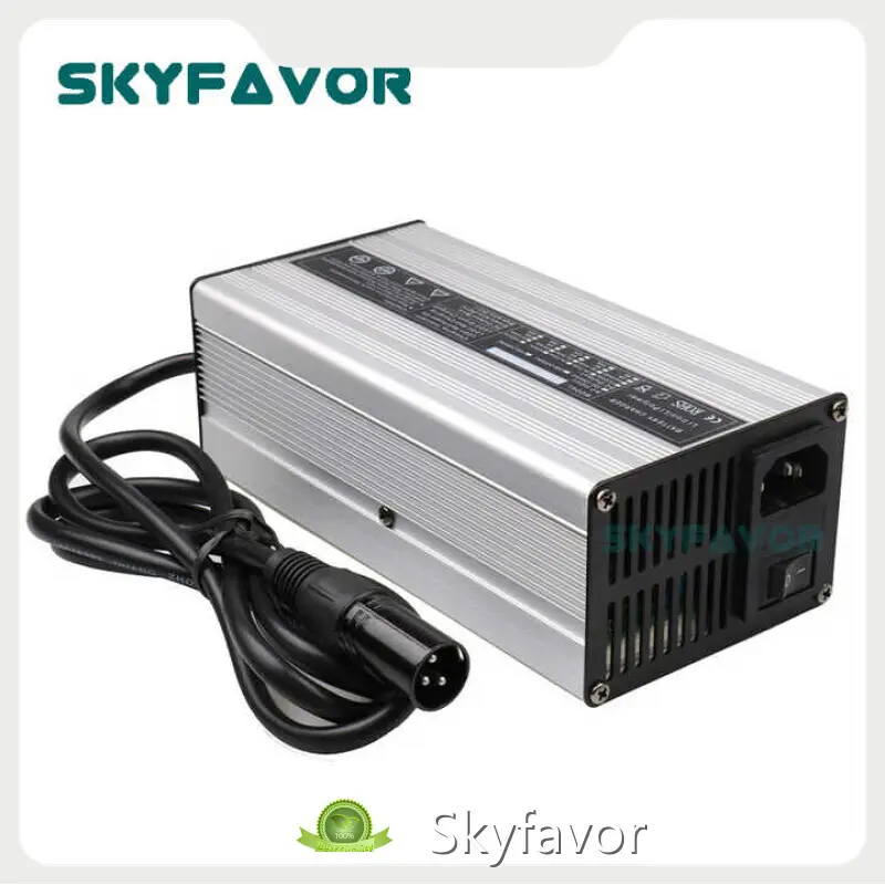 Smart Car Battery Charger by SKYFAVOR 1
