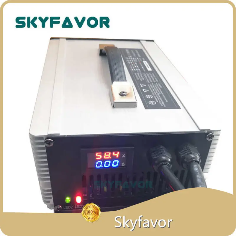 Vehicle Battery Charger - - SKYFAVOR-1 1