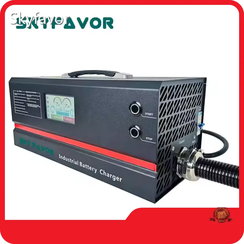 Personalized Battery Charger - - SKYFAVOR-5 1
