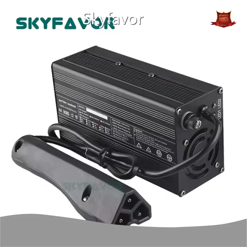 Custom Battery Chargers - - SKYFAVOR-15 1