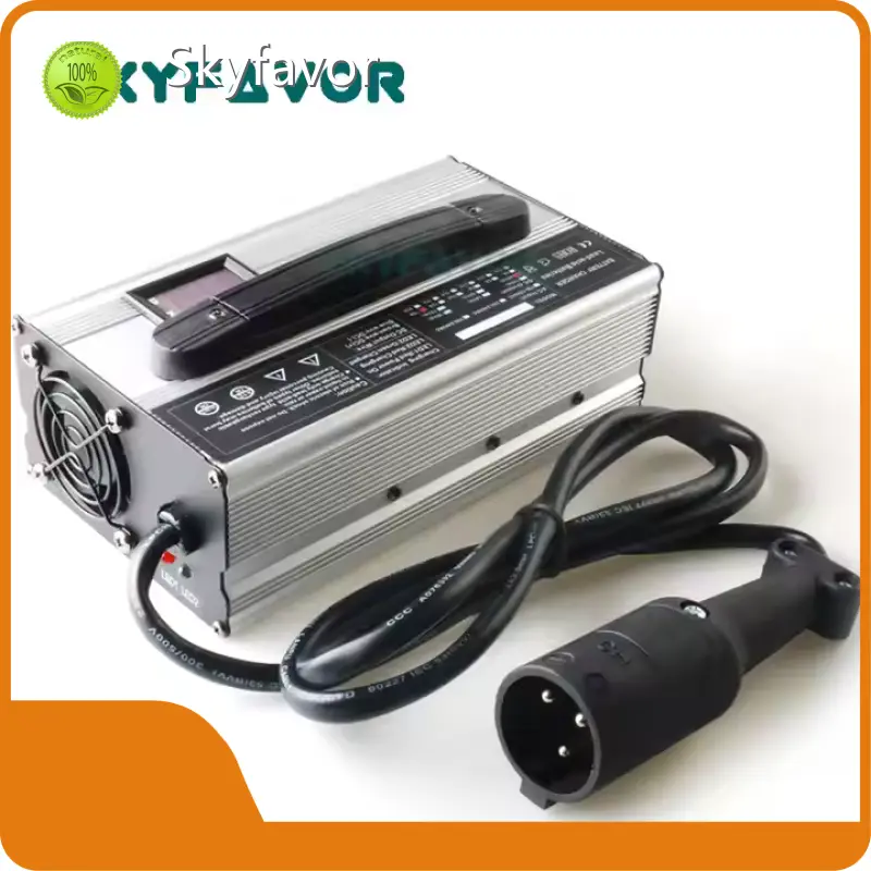 Personalized Battery Charger by SKYFAVOR-6 1