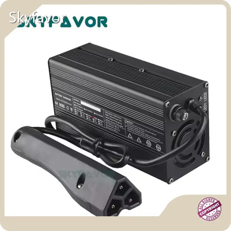 Lithium Battery Charger for Golf Cart - - SKYFAVOR 1