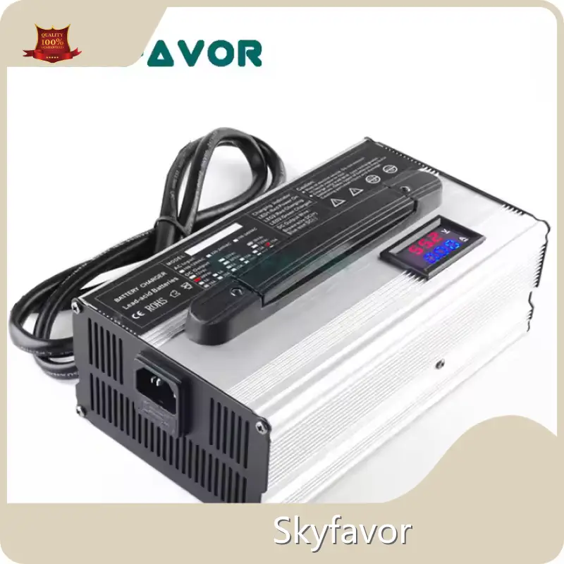 Battery Chargers Manufacturer by SKYFAVOR-8 1